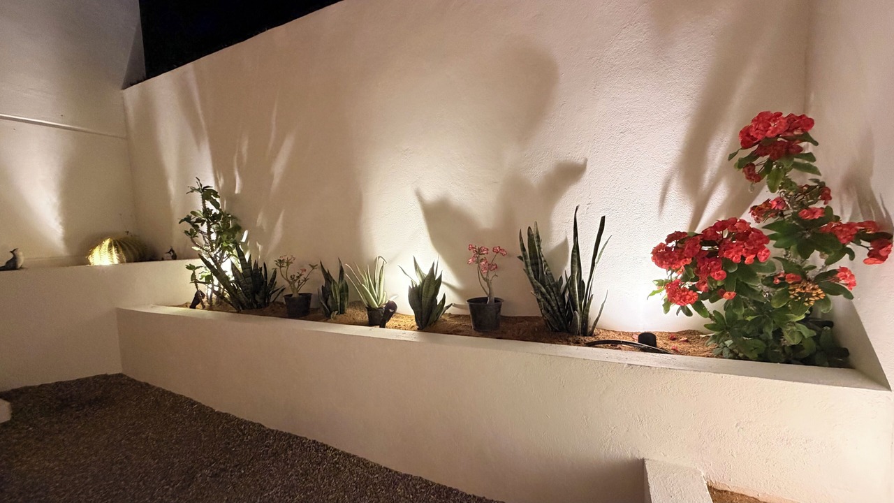 Photo of Outdoor in San Jose del Cabo