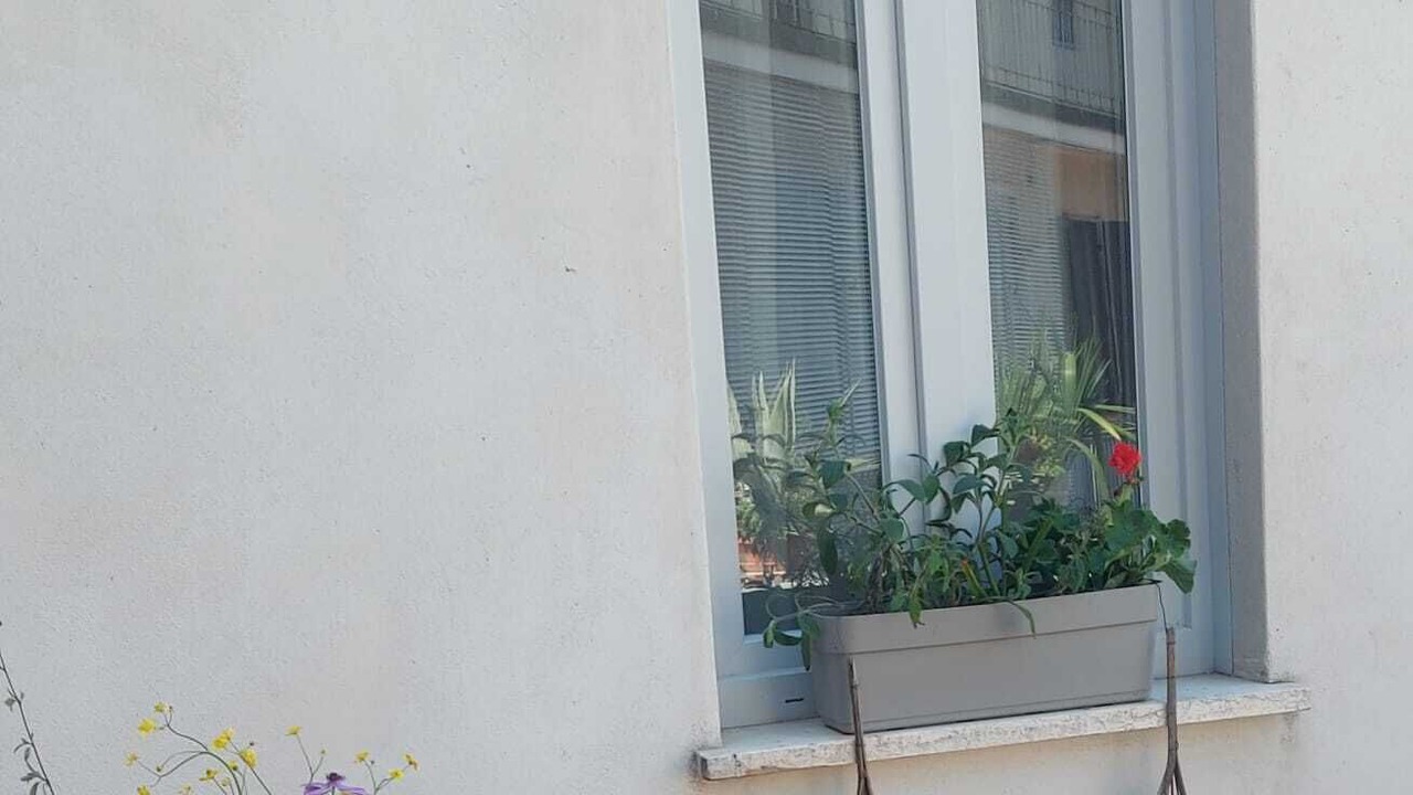 Photo of Outdoor in Cremona