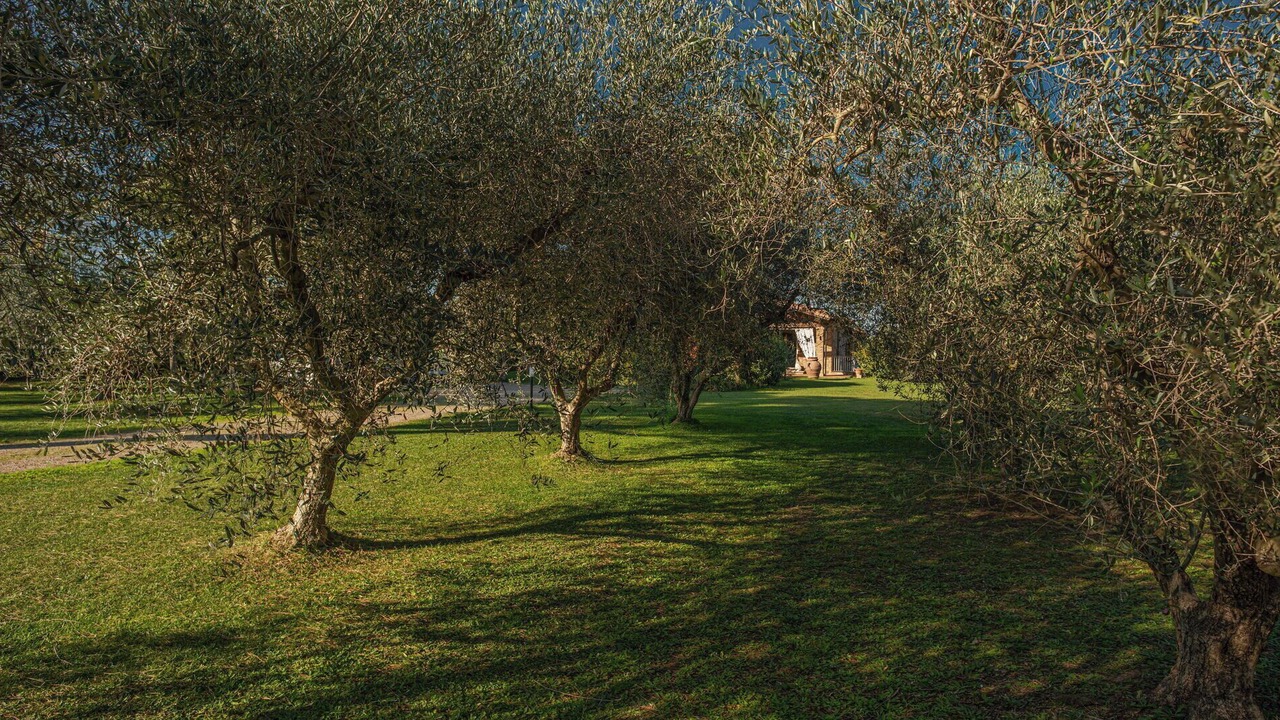 Photo of Outdoor in Castagneto Carducci
