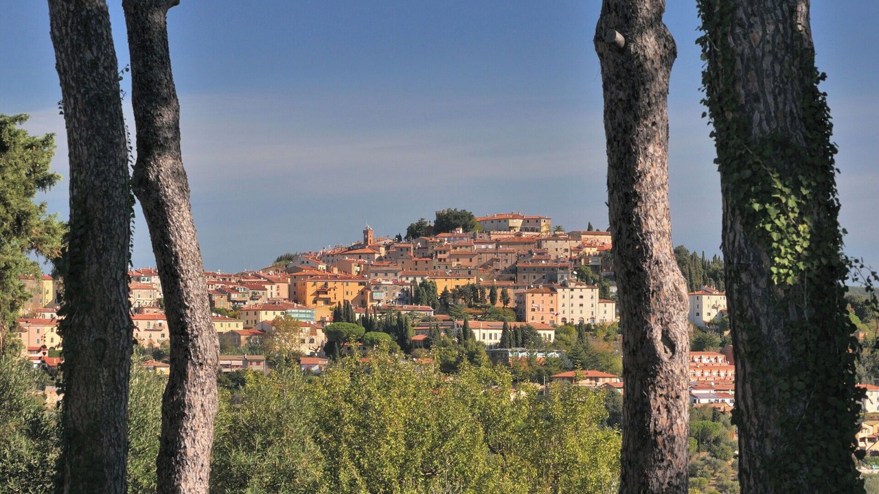Photo of Outdoor in Castagneto Carducci