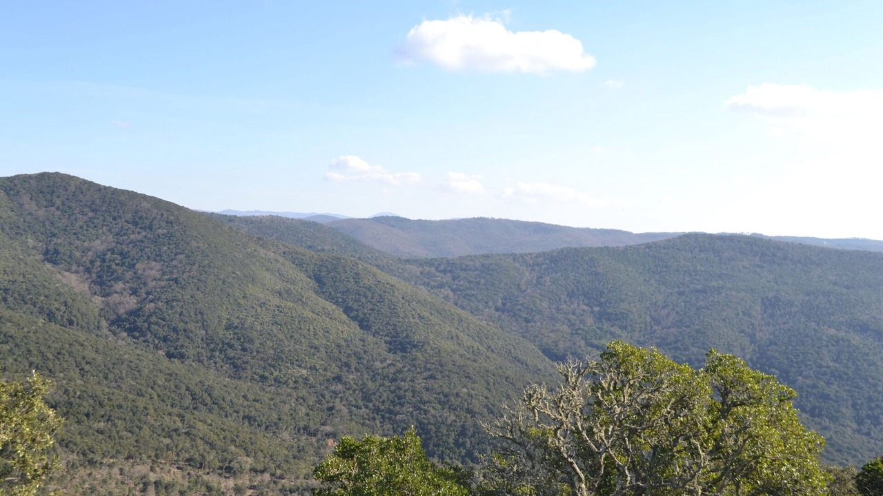Photo of Outdoor in Castagneto Carducci