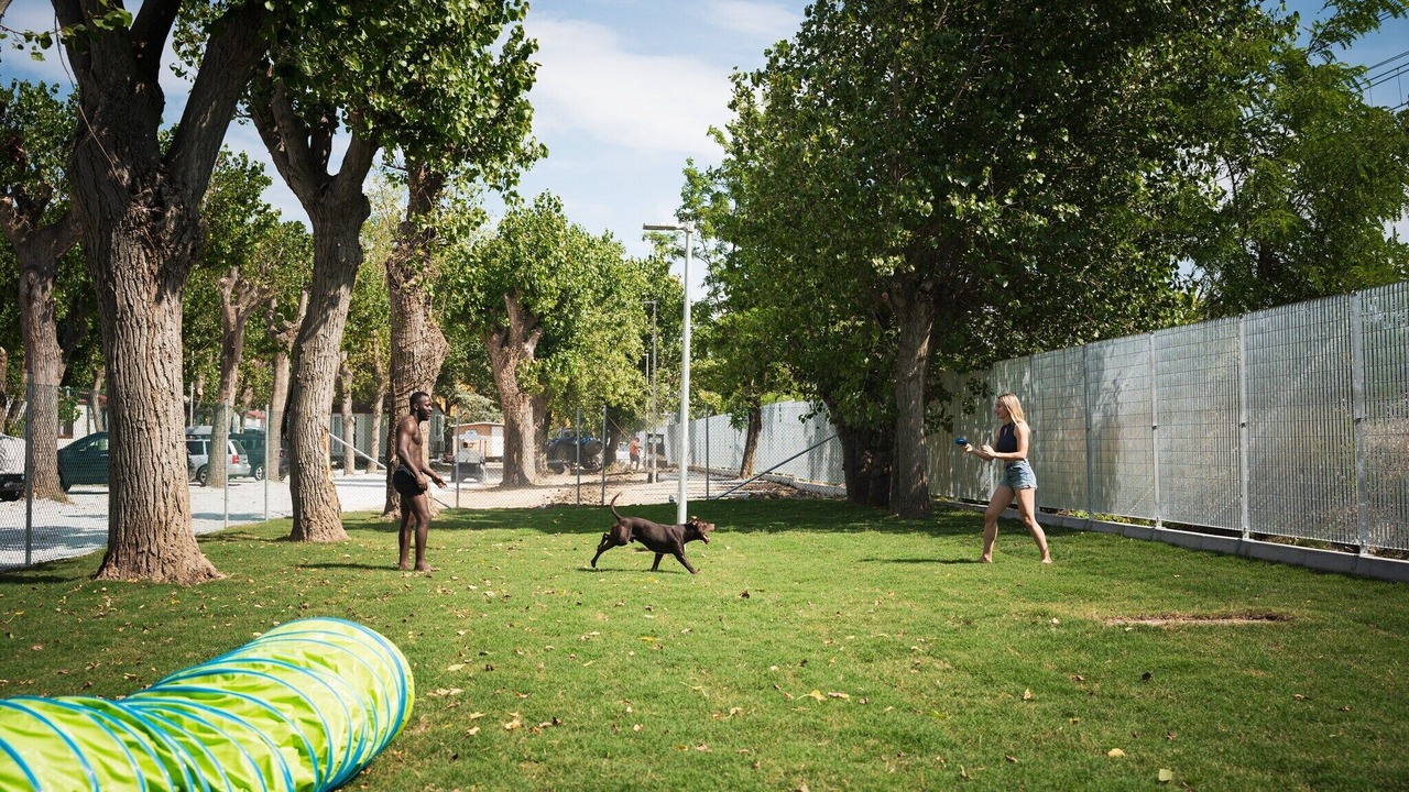 Photo of Others in Rivabella