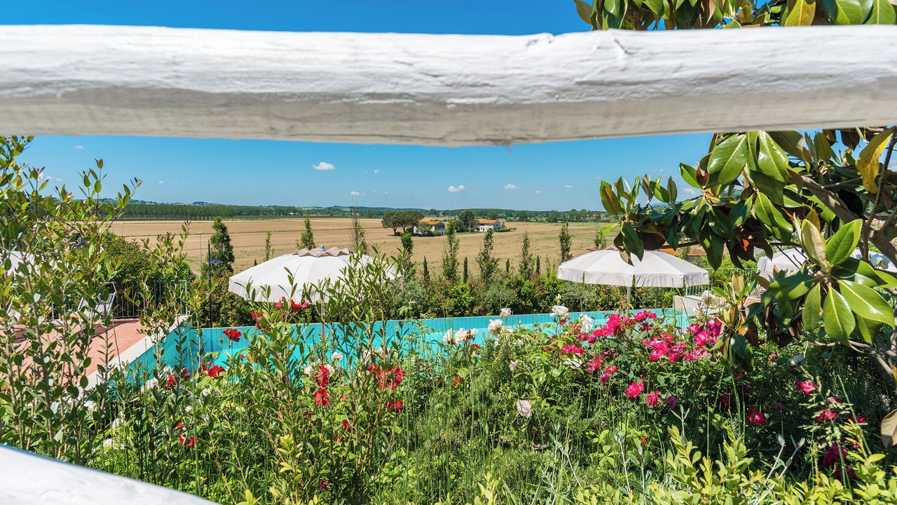 Photo of Outdoor in Palaia