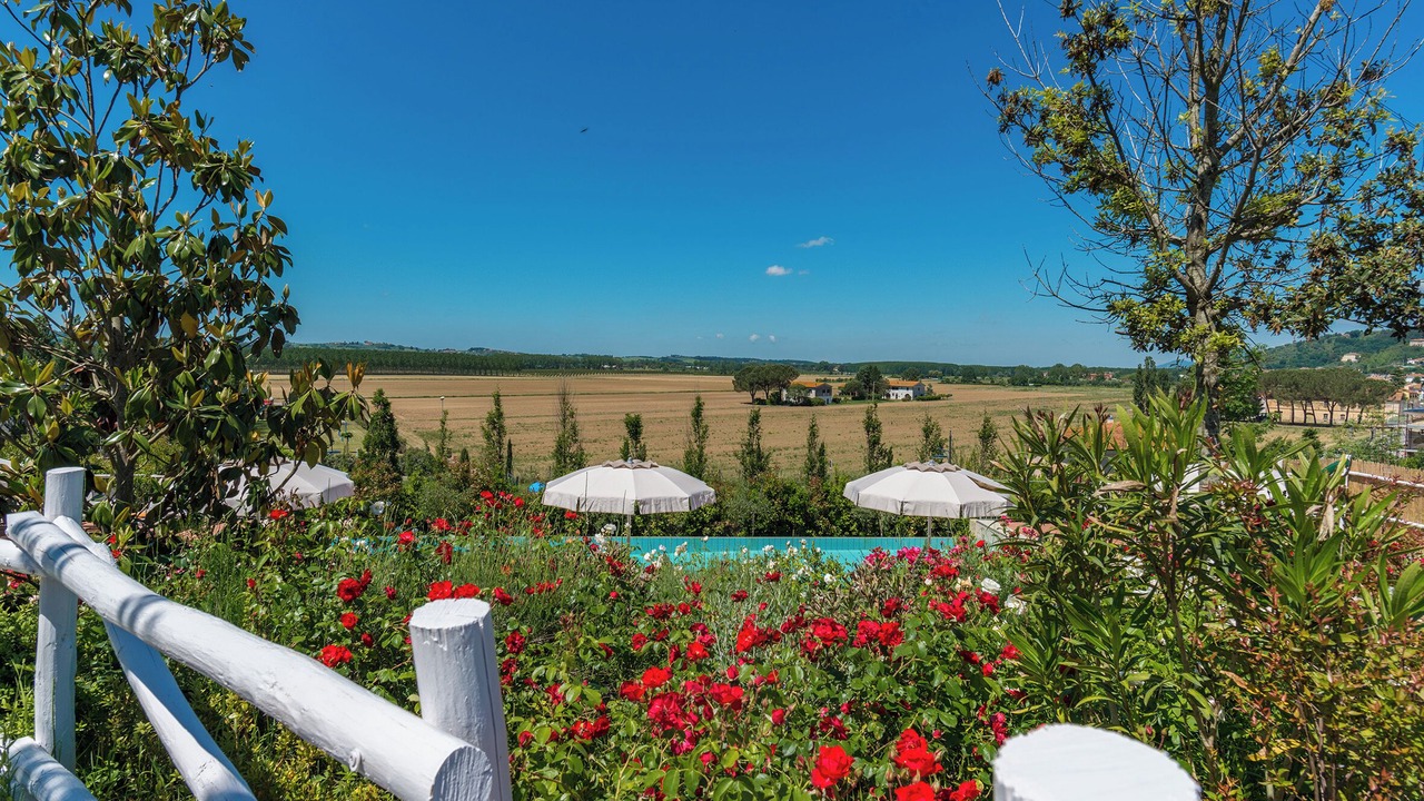 Photo of Outdoor in Palaia