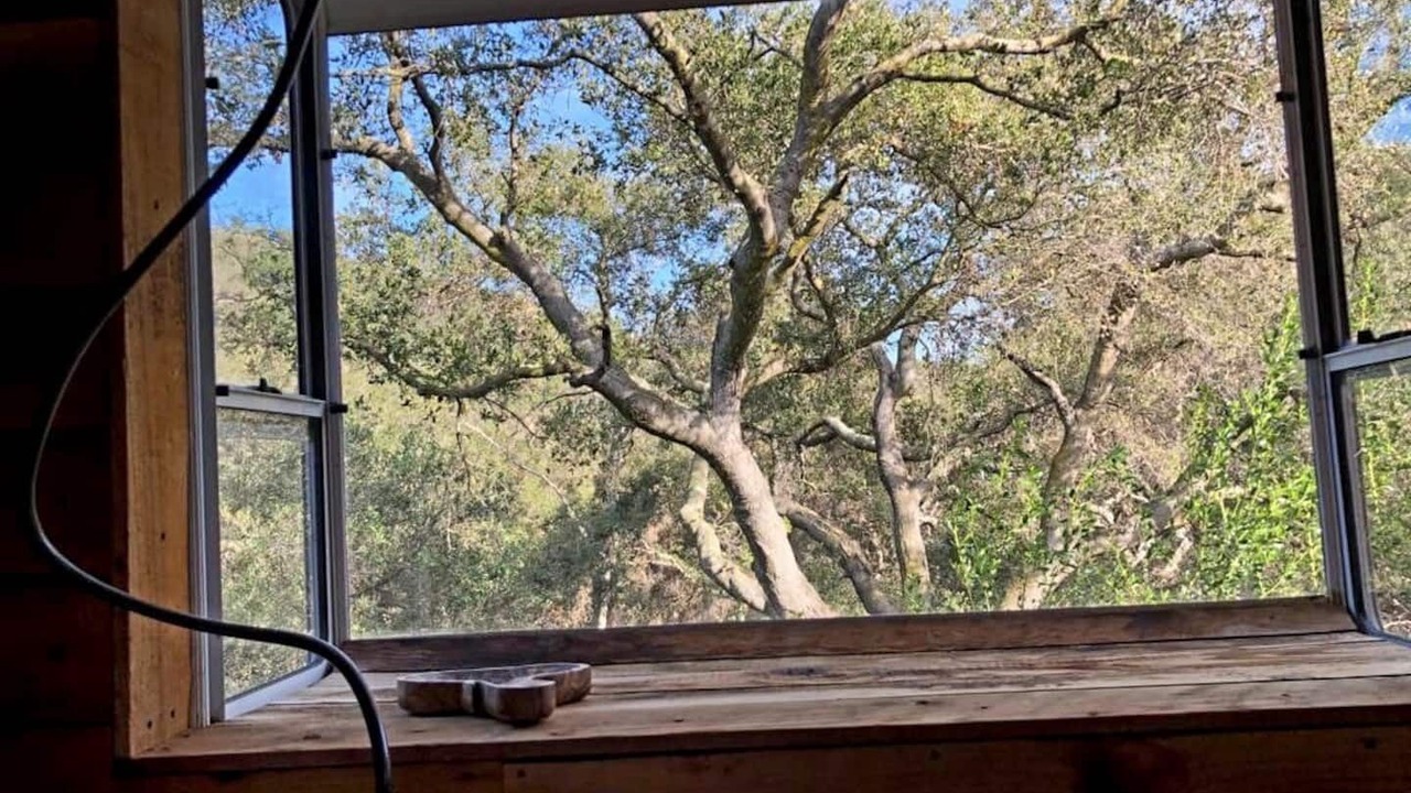 Photo of Others in Topanga