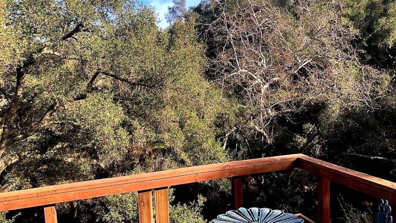 Photo of Outdoor in Topanga