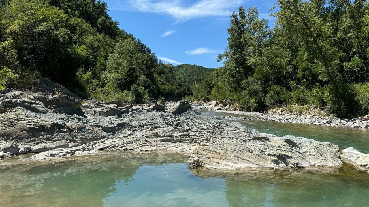 Photo of Others in Pineto