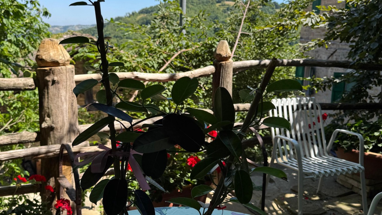 Photo of Outdoor in Pineto