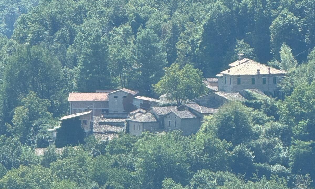 Photo of Others in Pineto