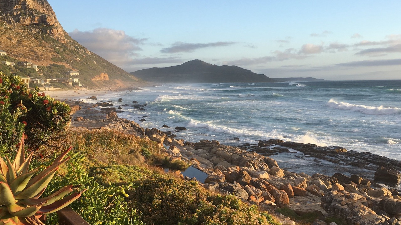 Photo of Others in Simon's Town