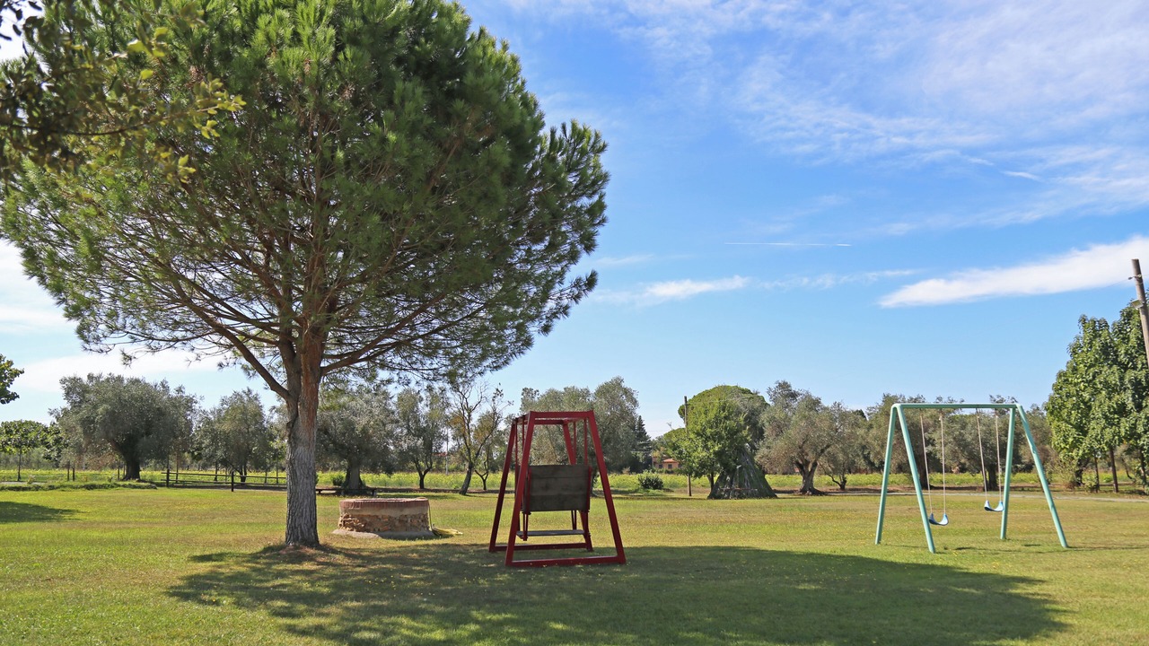 Photo of Others in Bolgheri