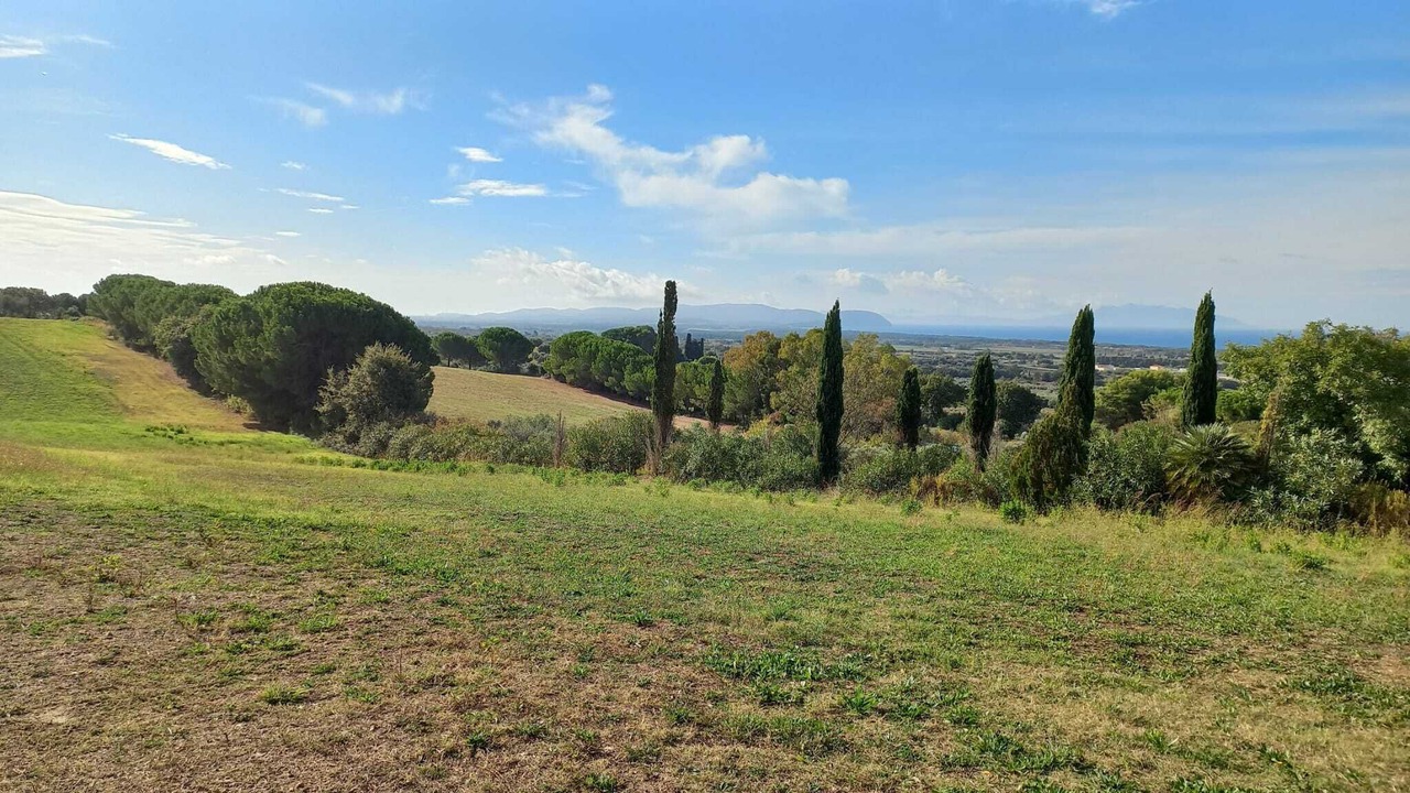 Photo of Others in Bolgheri
