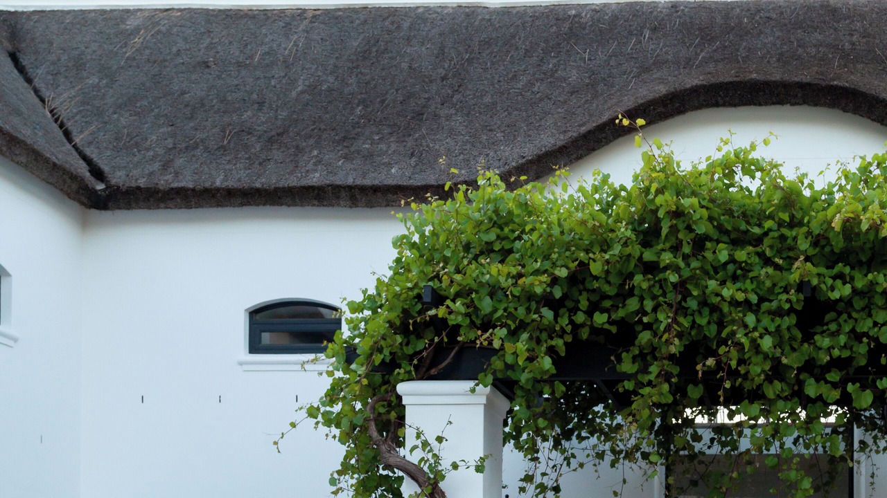 Photo of Outdoor in Stellenbosch