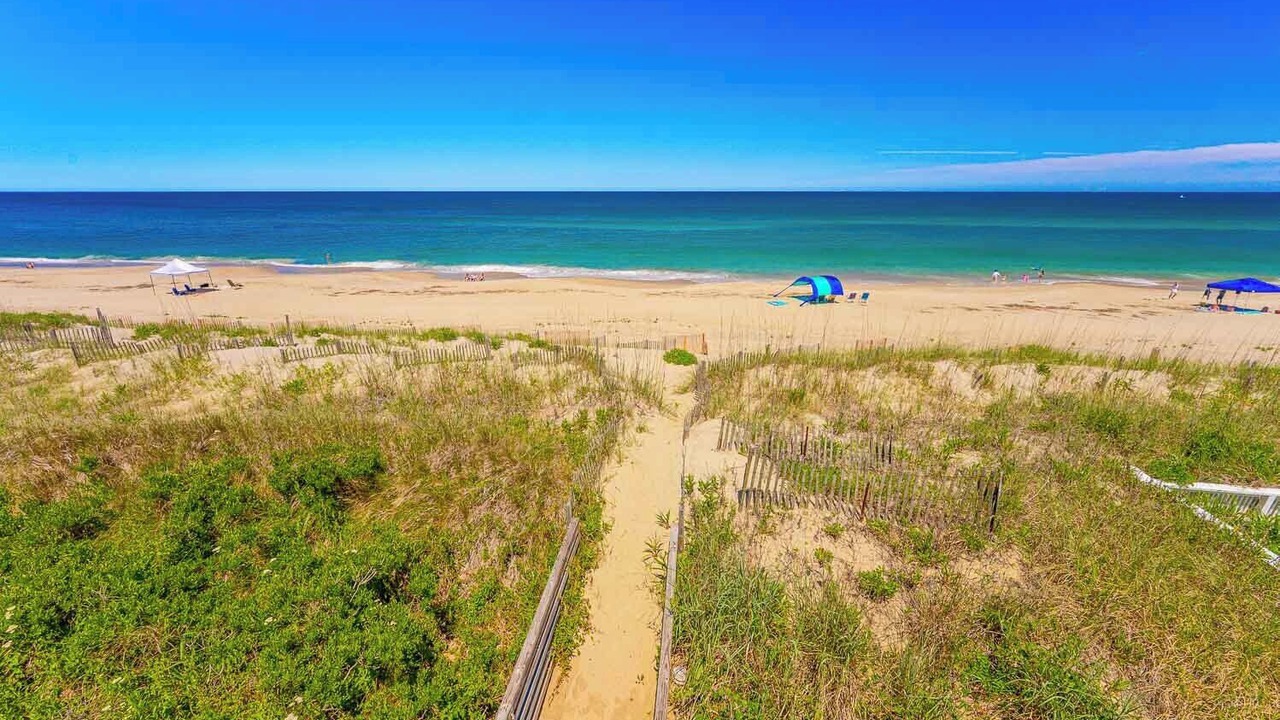 Photo of Others in Carolina Dunes