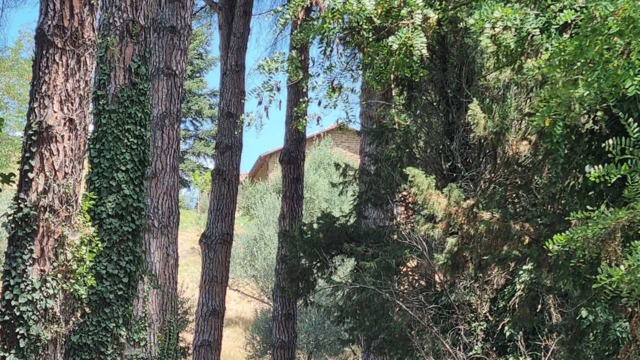 Photo of Others in Casola Valsenio