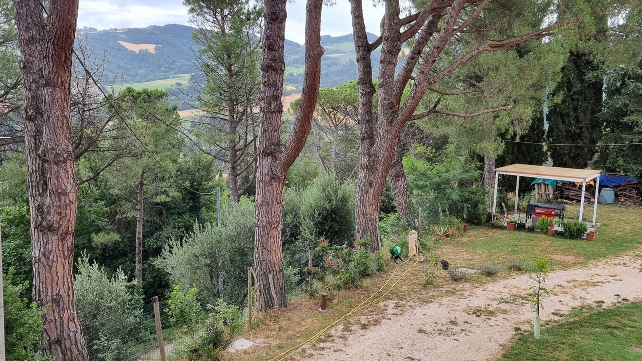 Photo of Outdoor in Casola Valsenio