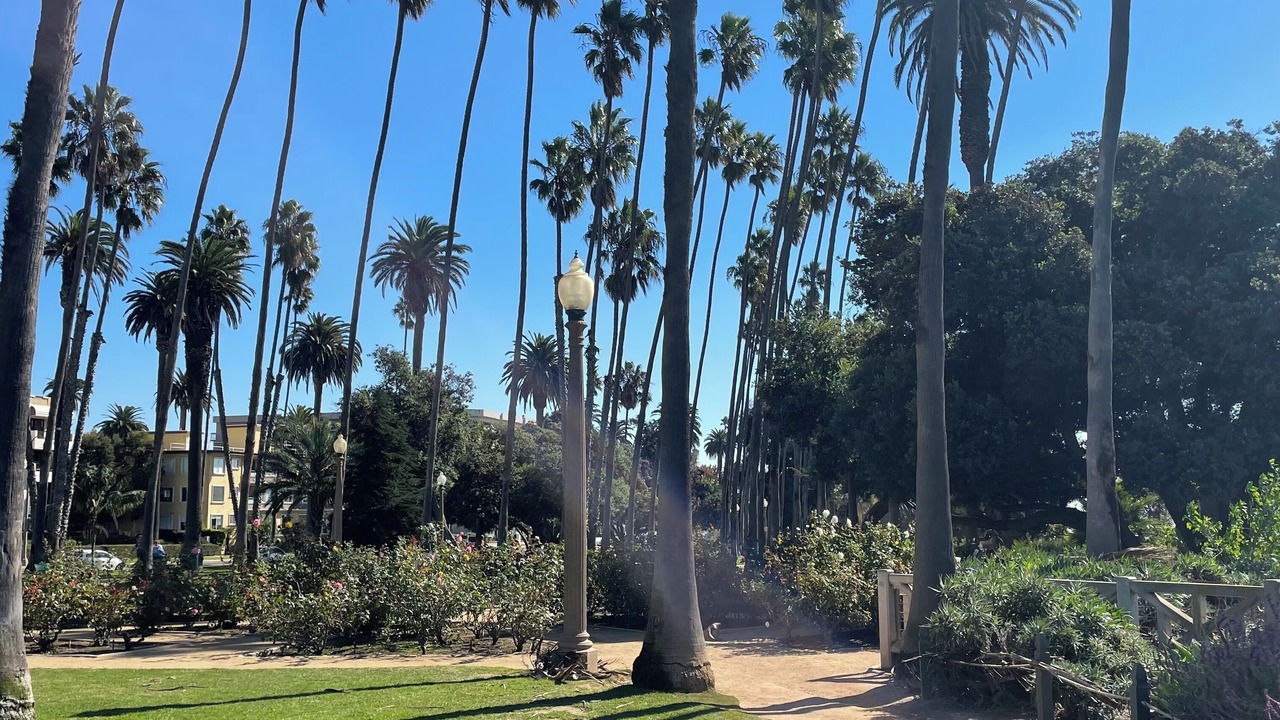 Photo of Outdoor in Downtown