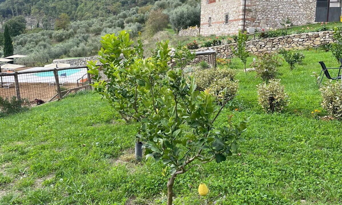 Photo of Outdoor in Barberino di Mugello