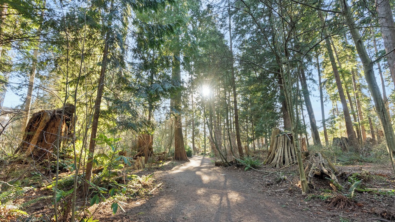 Photo of Others in Lynn Valley