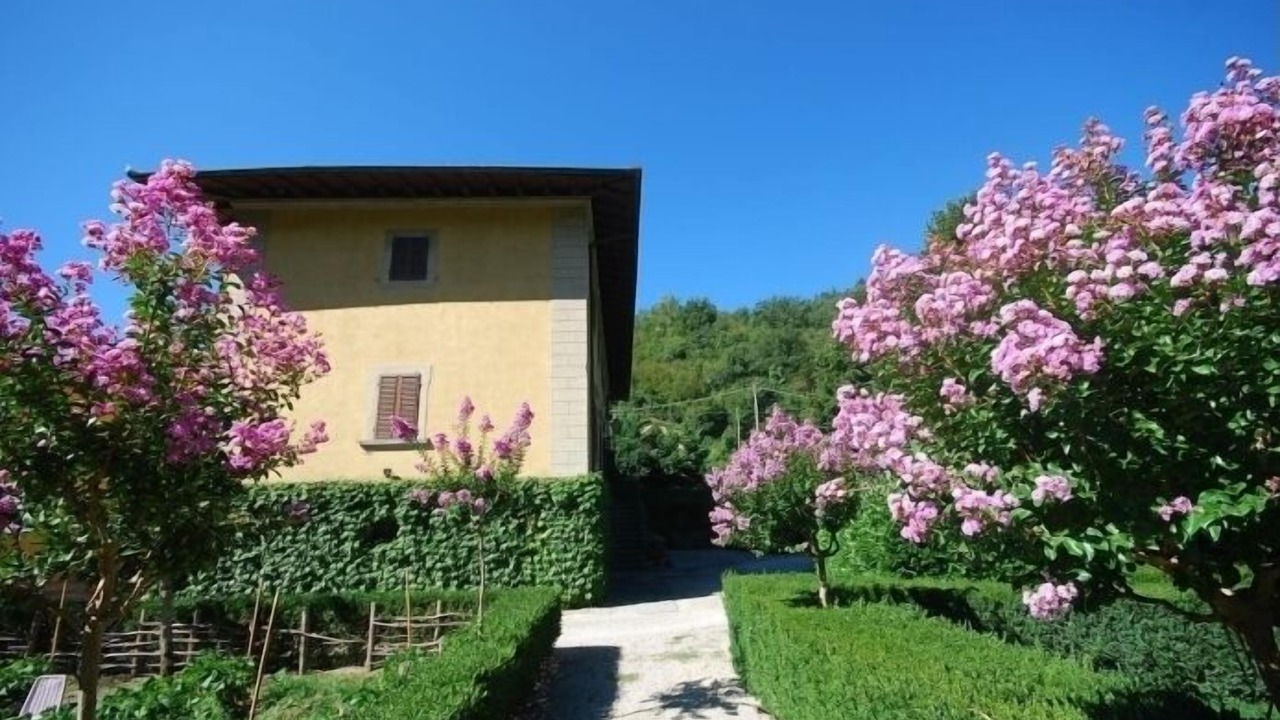 Photo of Outdoor in Borgo San Lorenzo
