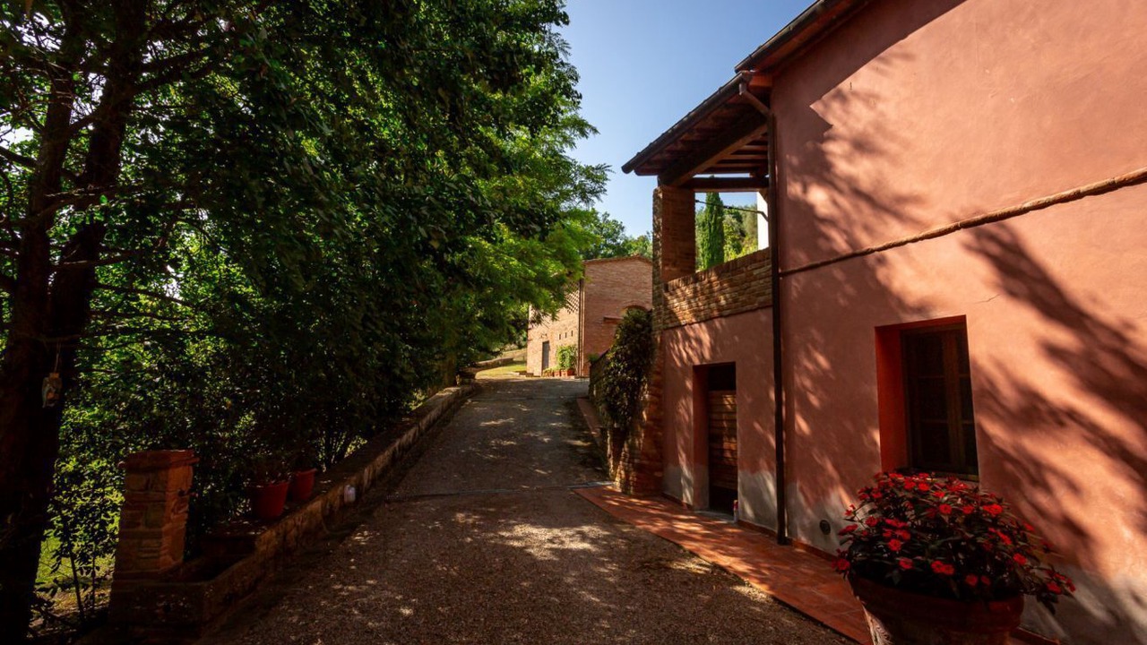 Photo of Outdoor in Palaia