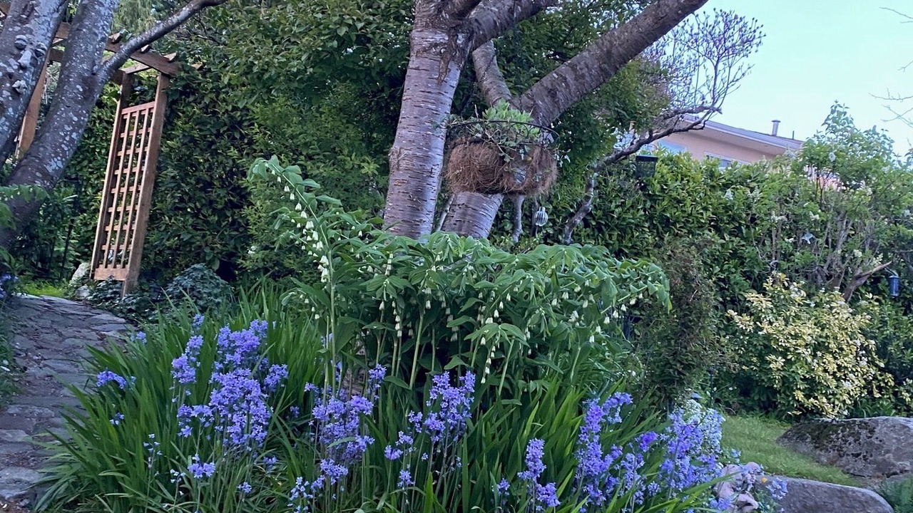 Photo of Outdoor in Ambleside