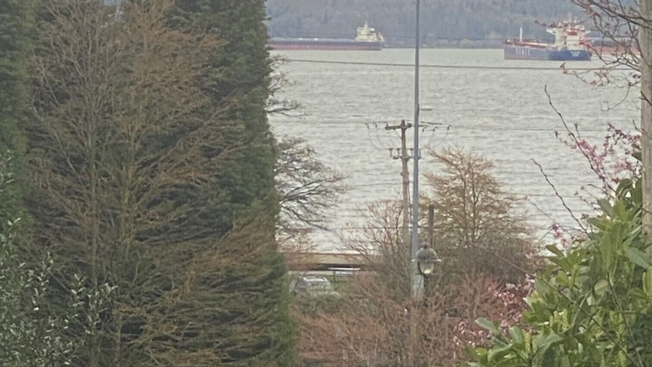 Photo of Others in Ambleside