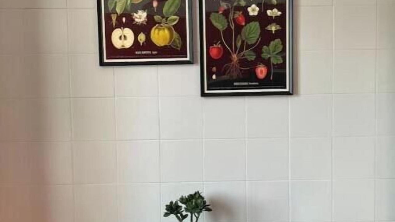 Photo of Others in Reggio nell'Emilia