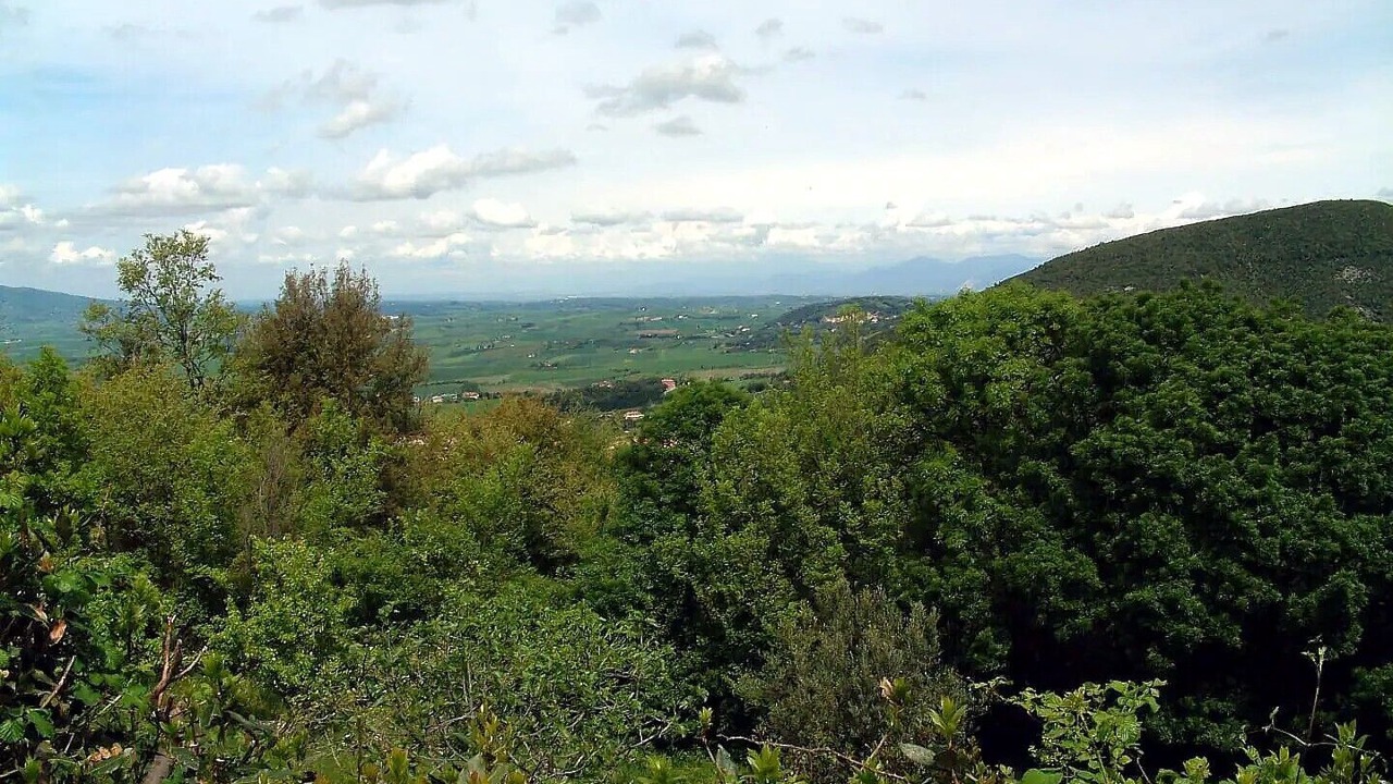 Photo of Others in Castellina Marittima