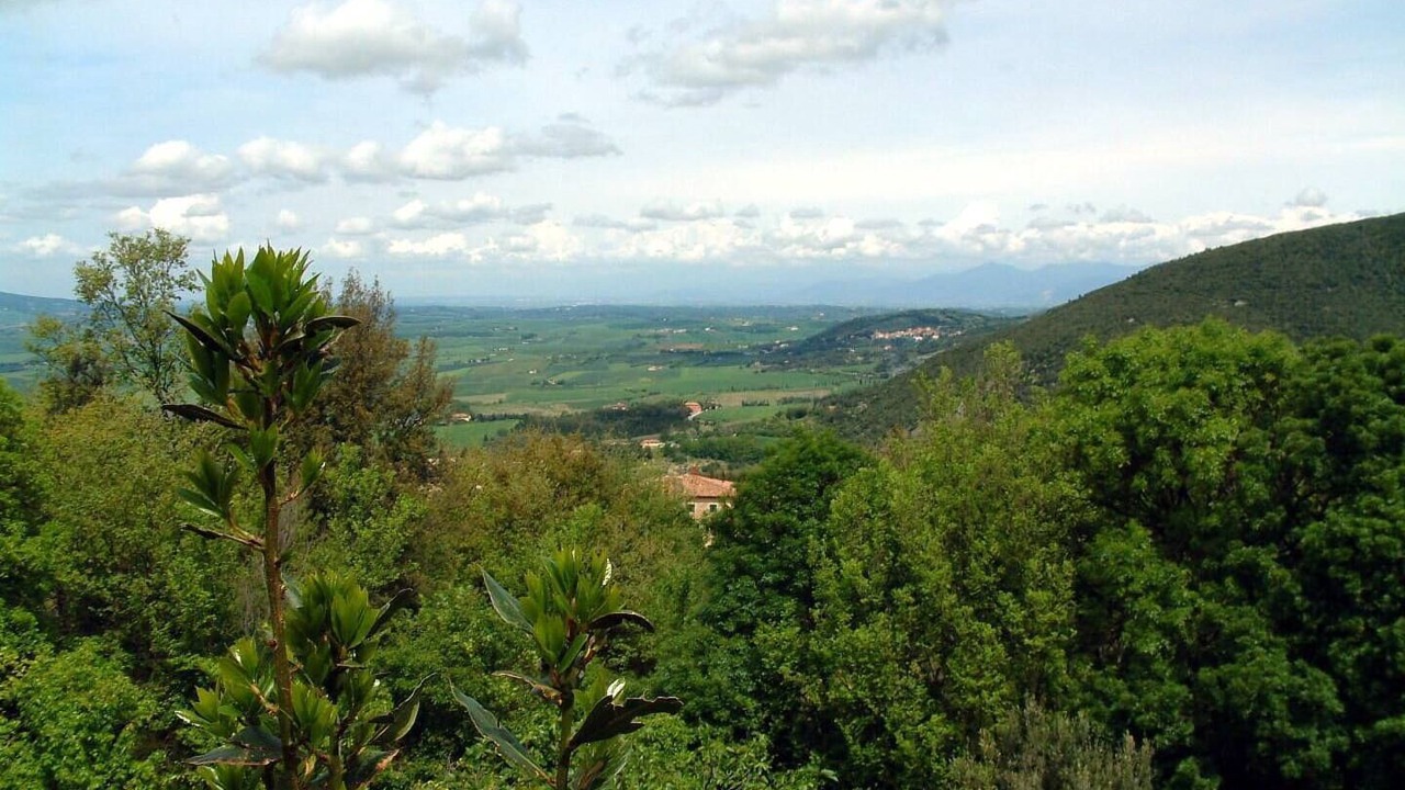 Photo of Others in Castellina Marittima