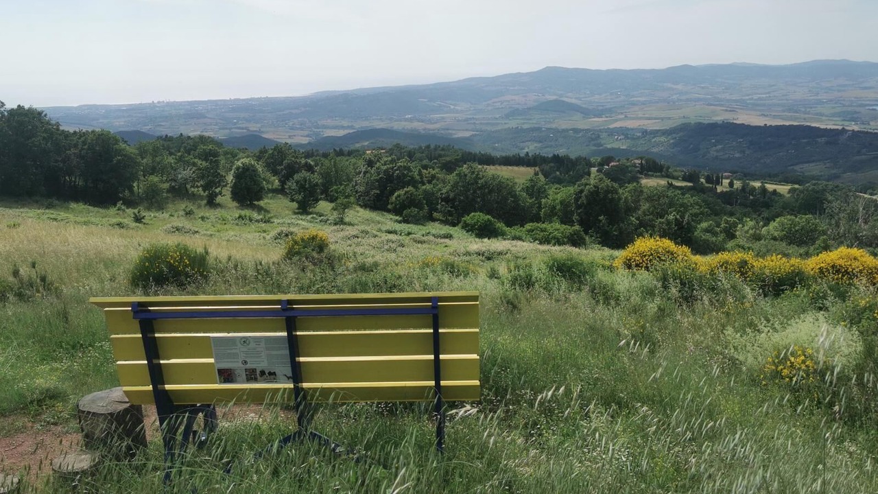 Photo of Others in Castellina Marittima