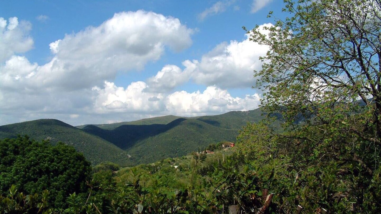 Photo of Others in Castellina Marittima