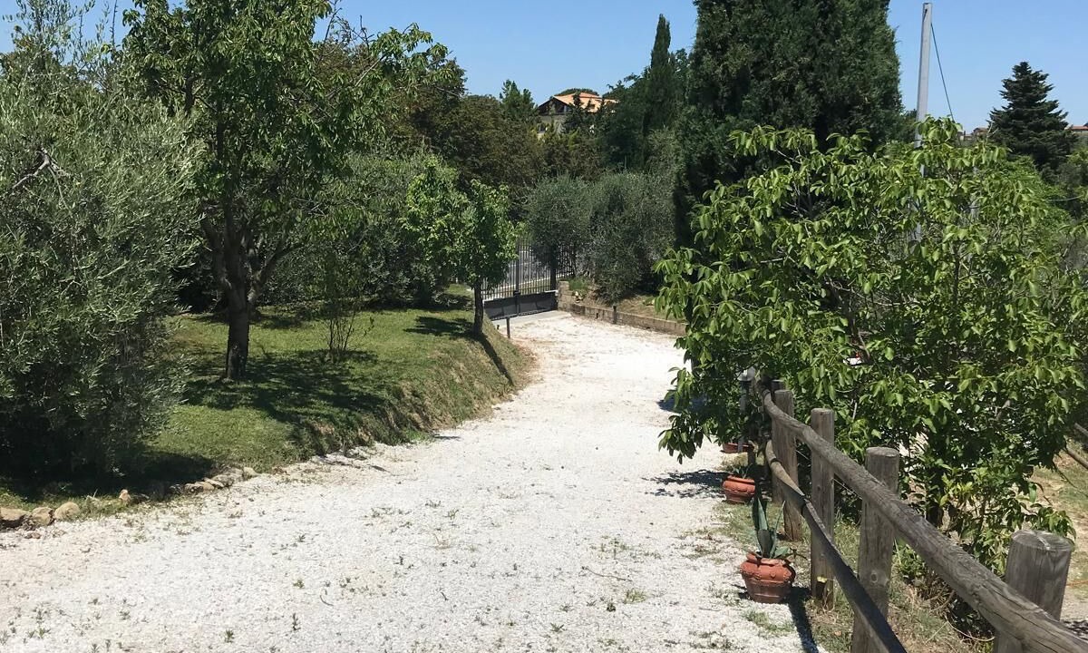 Photo of Outdoor in Palaia