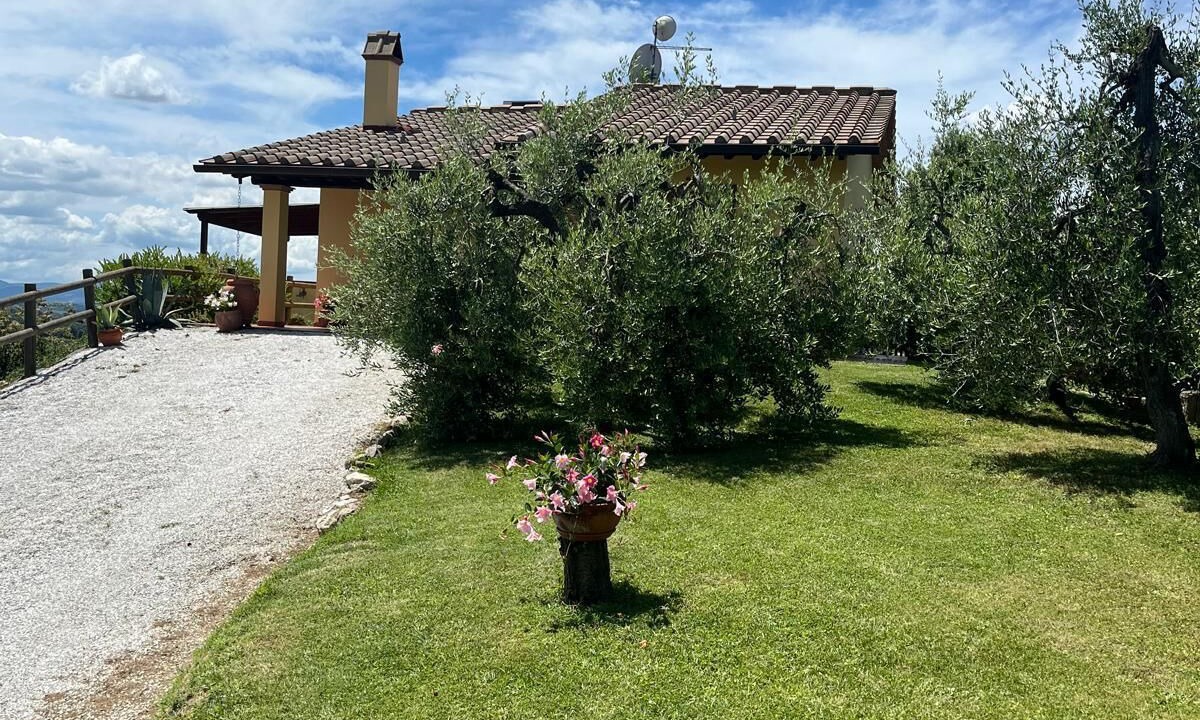 Photo of Outdoor in Palaia