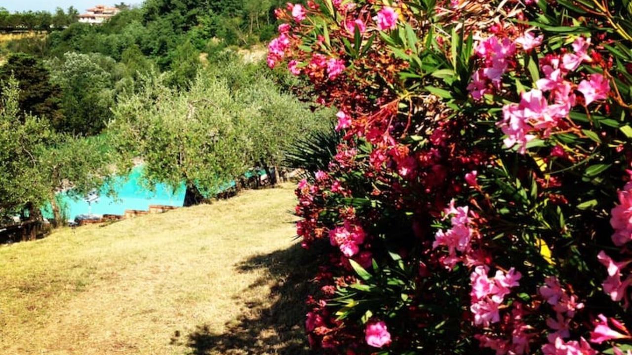 Photo of Outdoor in Montespertoli