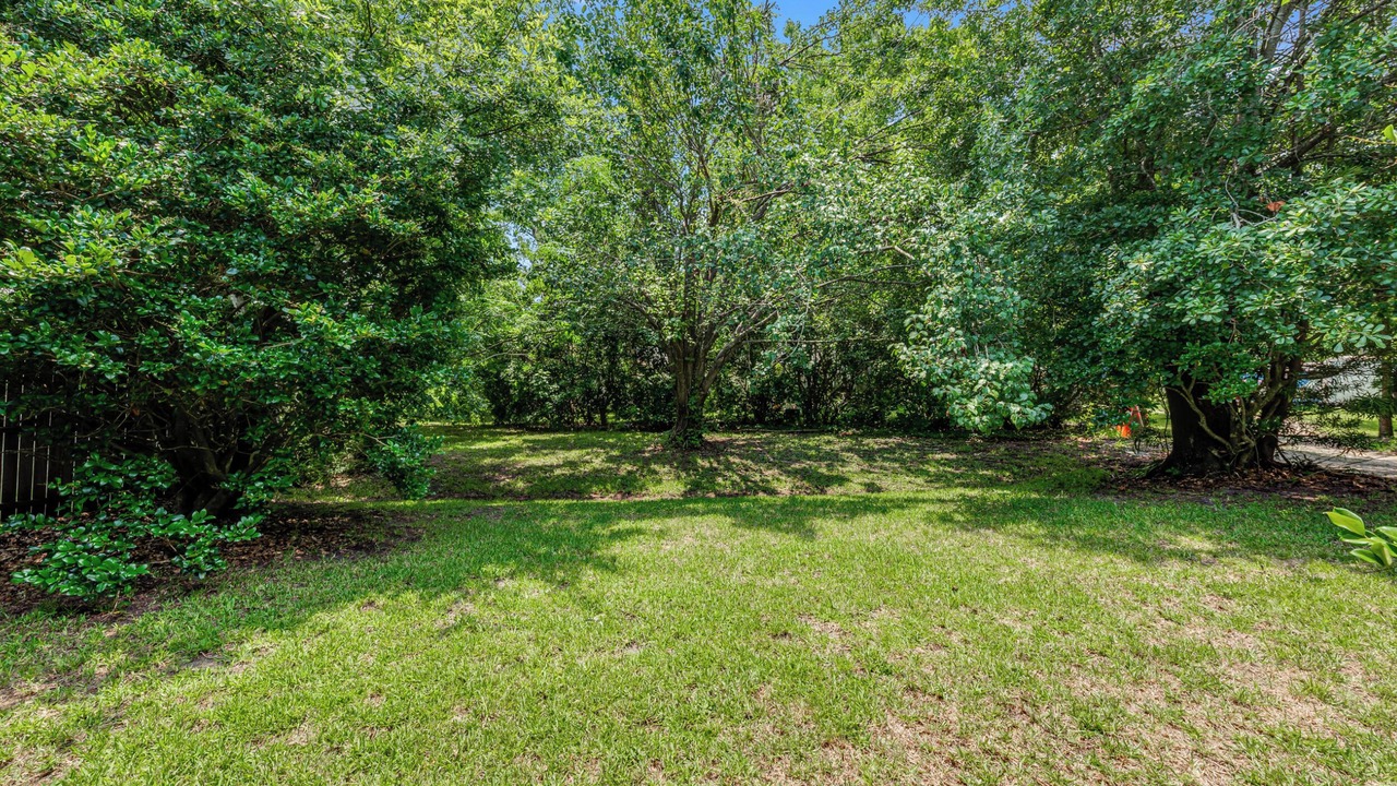Photo of Outdoor in Golden Glades - The Woods