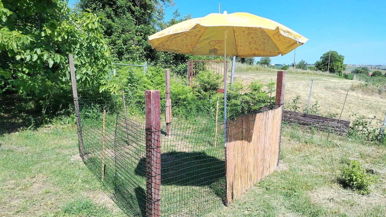 Photo of Outdoor in Saludecio