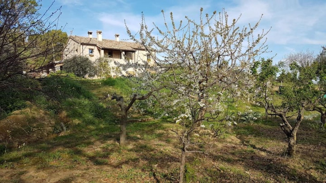 Photo of Outdoor in Saludecio