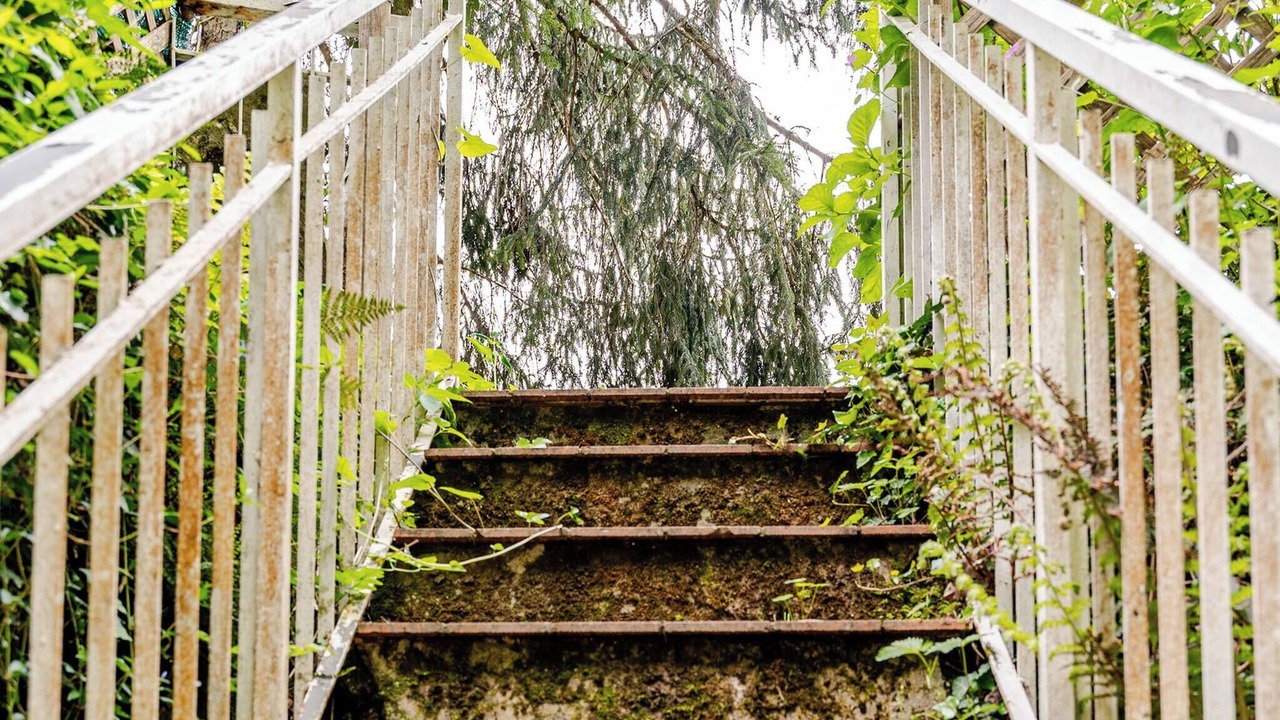 Photo of Outdoor in Rufina