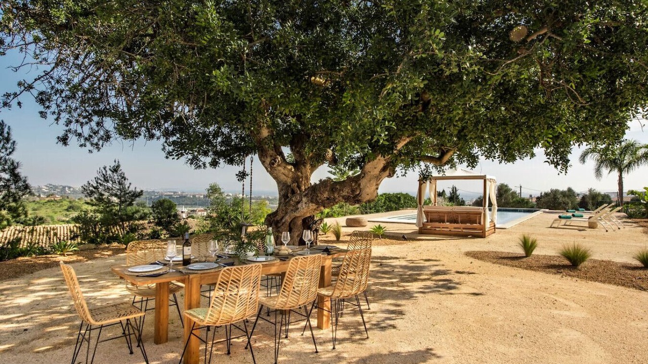 Photo of Outdoor in Falfeira