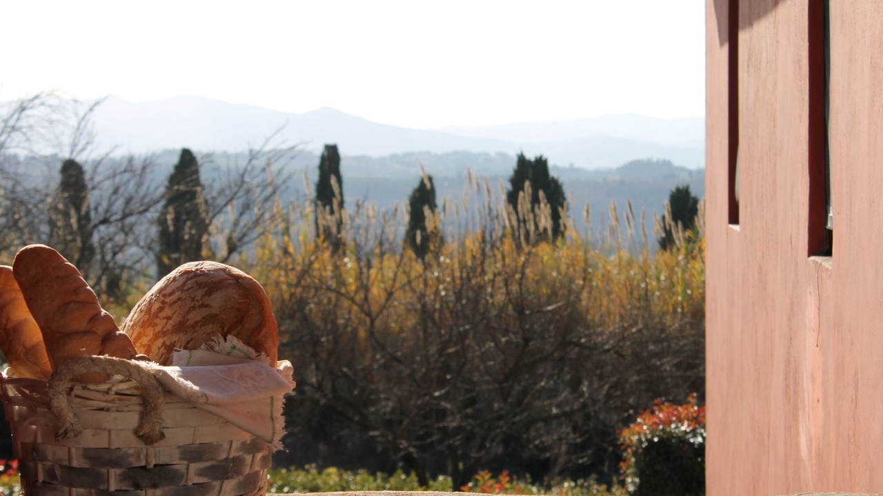 Photo of Outdoor in Ghizzano