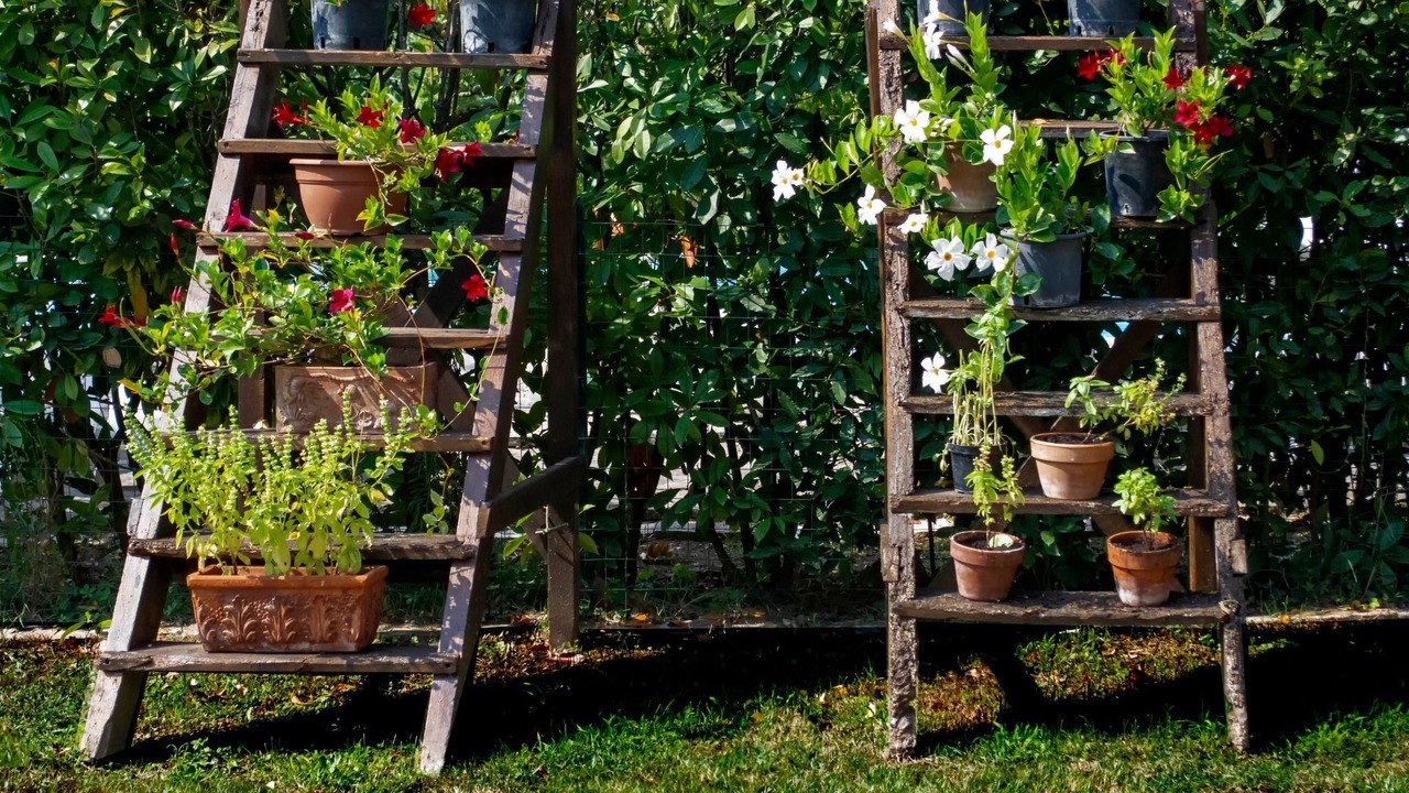 Photo of Outdoor in Ghizzano