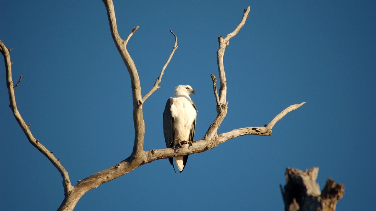 Photo of Others in Durras North