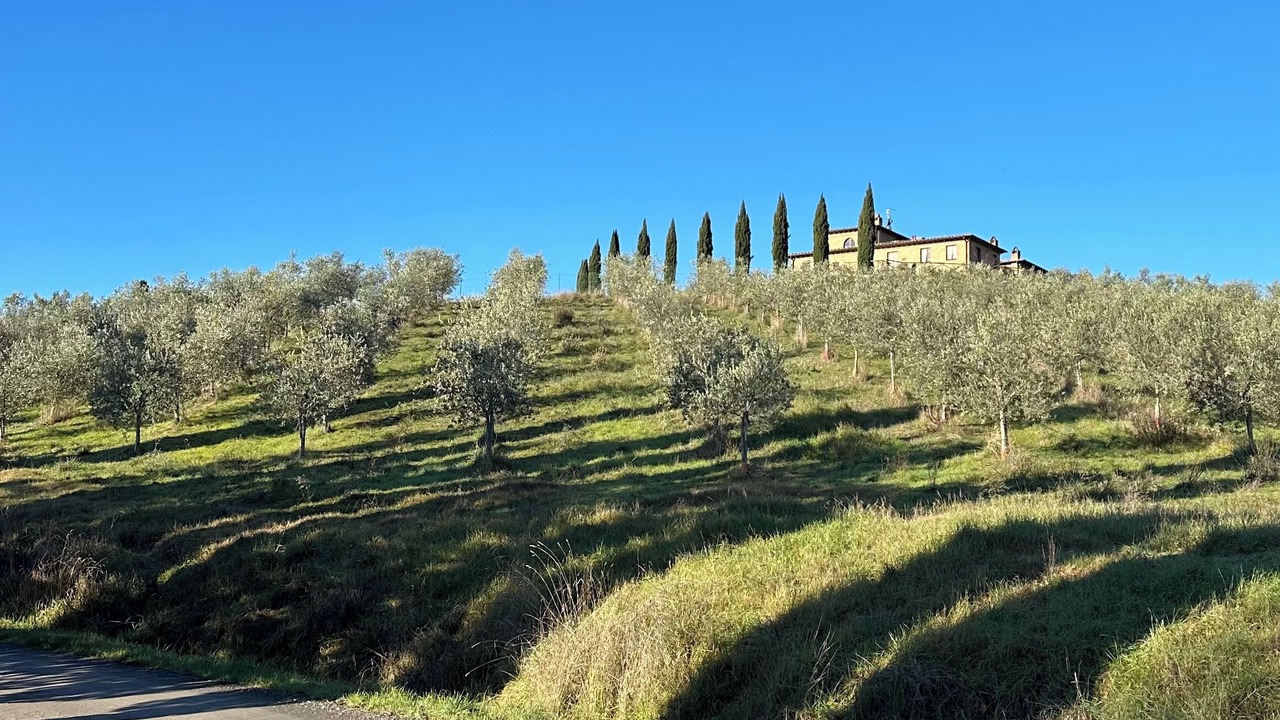 Photo of Others in Volterra