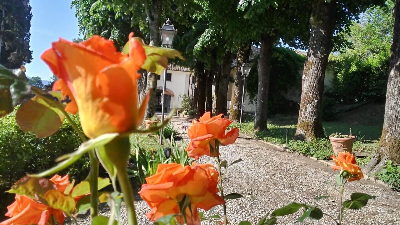 Photo of Outdoor in Scarperia