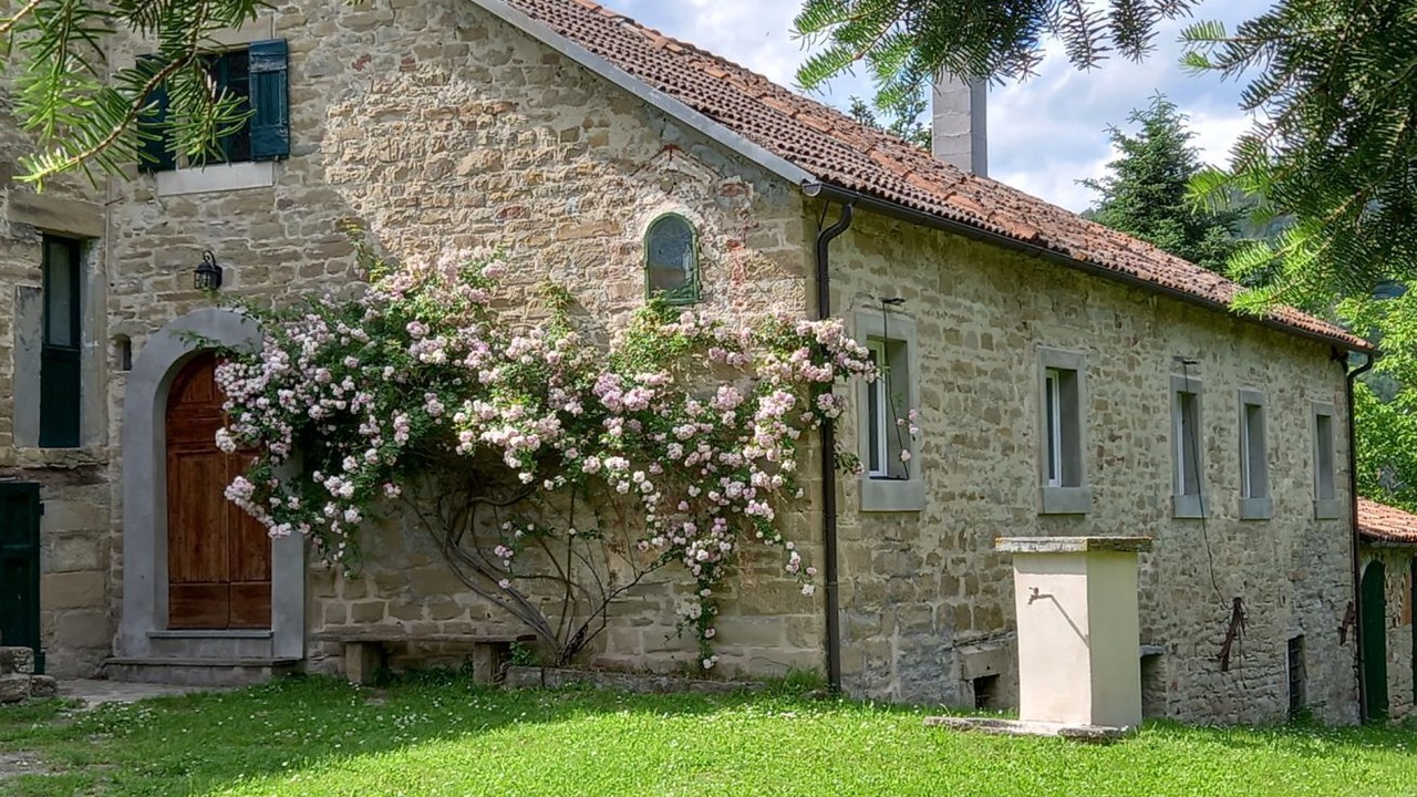 Photo of Outdoor in Premilcuore