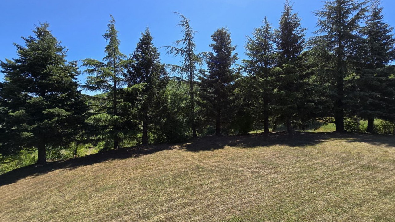 Photo of Outdoor in Premilcuore