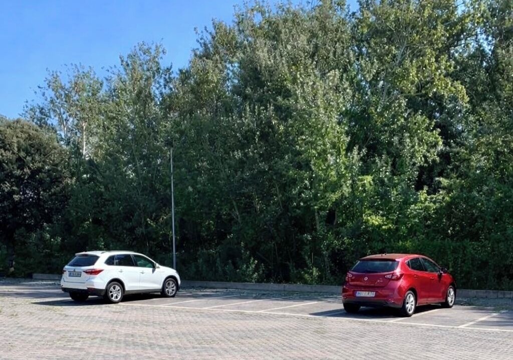 Photo of Outdoor in Calambrone