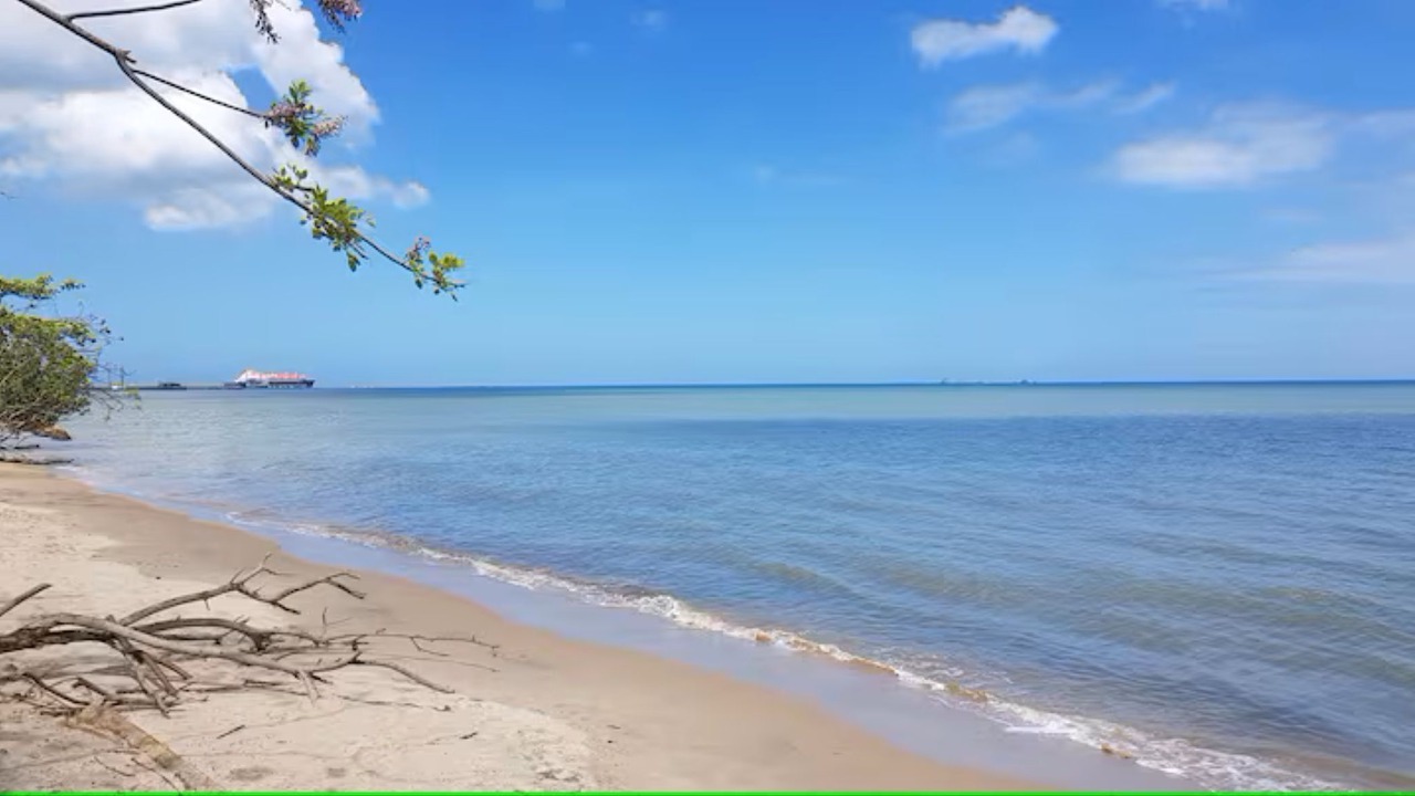 Photo of Others in Gulf View