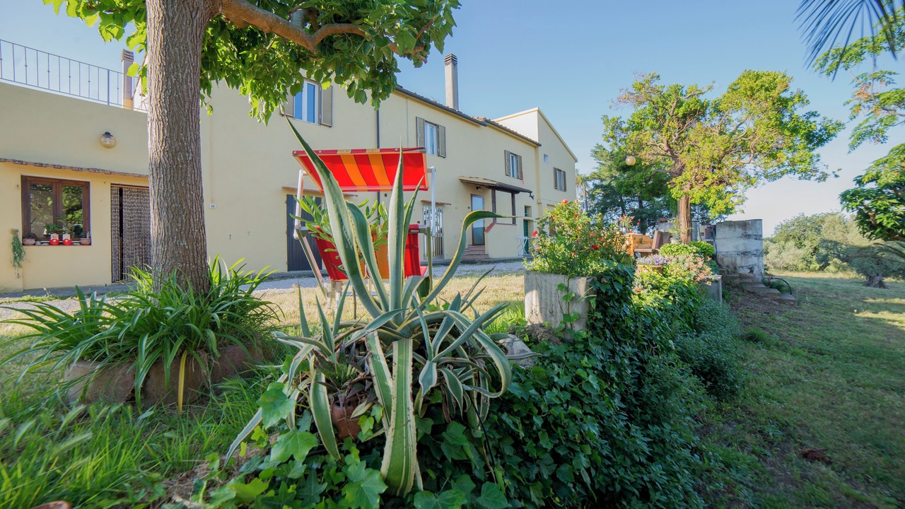 Photo of Outdoor in Donoratico